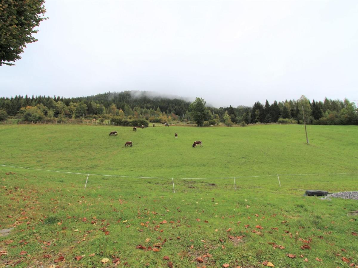 Beautiful Apartment In A Renovated Farmhouse In Fresach Carinthia Eksteriør billede